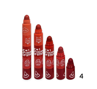 BARRA DE LABIOS 5 EN 1