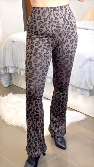 LEGGIN LEOPARDO CAMPANA