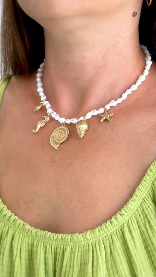 COLLAR CARAMA